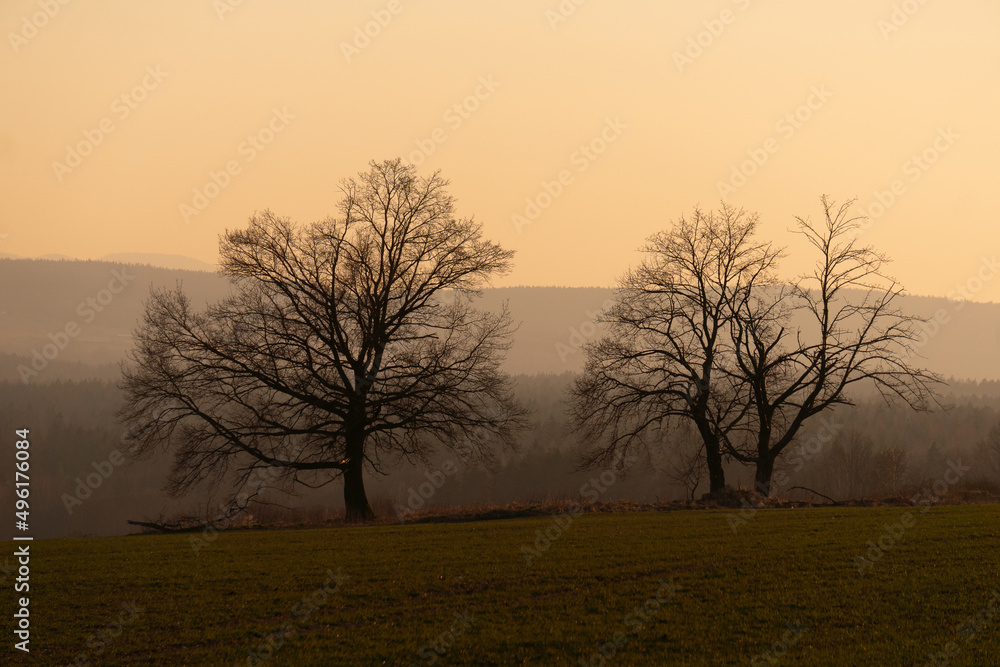Sunset evening in the Pogórze Izerskie area in Poland in the early spring landscape with some trees and lonely road Sunset evening in the Pogórze Izerskie area in Poland in the early spring landscape with some trees and lonely road