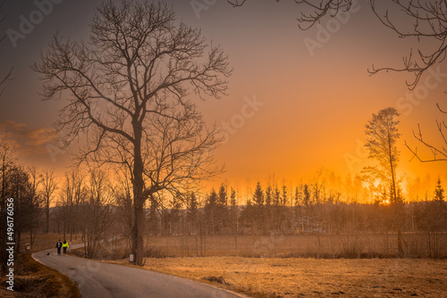 Sunset evening in the Pogórze Izerskie area in Poland in the early spring landscape with some trees and lonely road photo