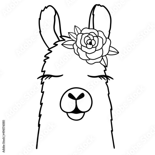 Cute Llama Line Art. Llama with Flower. Llama sketch vector illustration. Good for posters, t shirts, postcards.