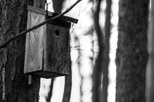 Fototapeta Naklejka Na Ścianę i Meble -  Birdhouse