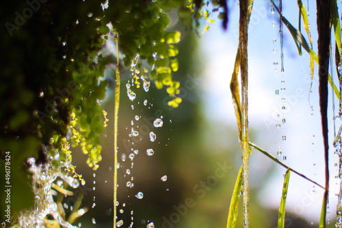 Falling waterdrops with deepth of field photo