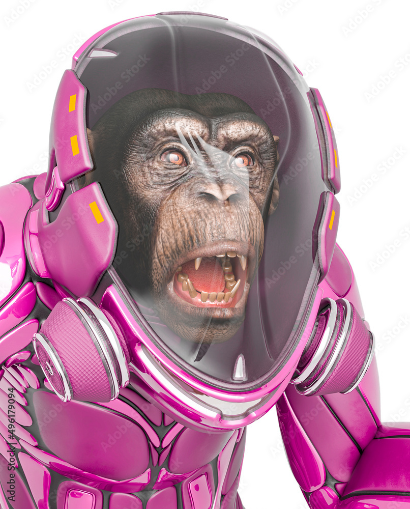 chimpanzee astronaut id profile in white background chimpanzee astronaut id profile in white background