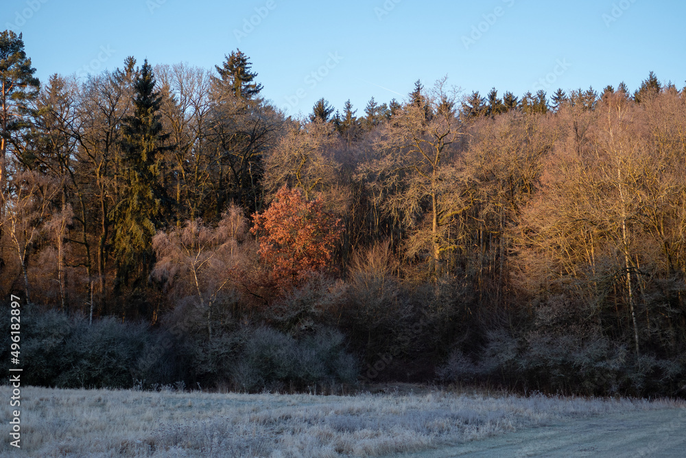Landschaft im Frühjahr Landschaft im Frühjahr
