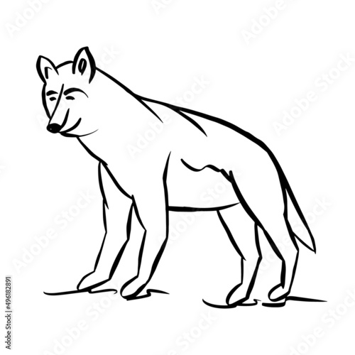 Wolf  dog  contour doodle drawing. A simple linear sketch of a wild animal. Vector illustration in black color isolated on a white background. A cute abstract forest animal with a kind expression.