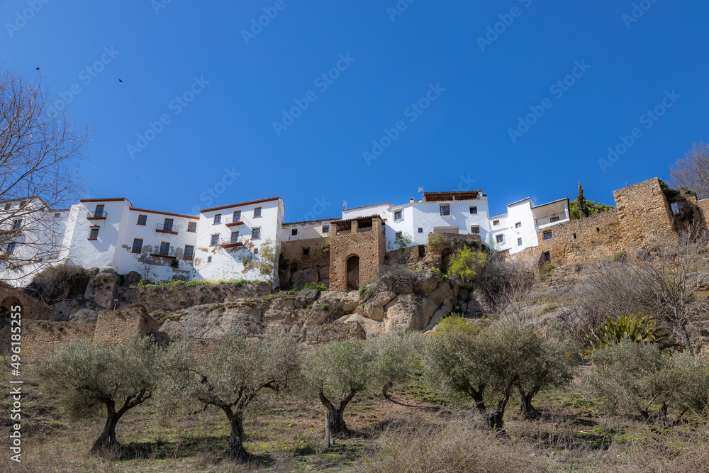 Ronda houses with olive trees