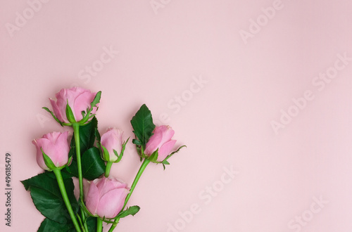 Pink roses on a pink background. Greeting card. Birthday, Mother's Day, Valentine's Day. Top view, flat lay, copy space.