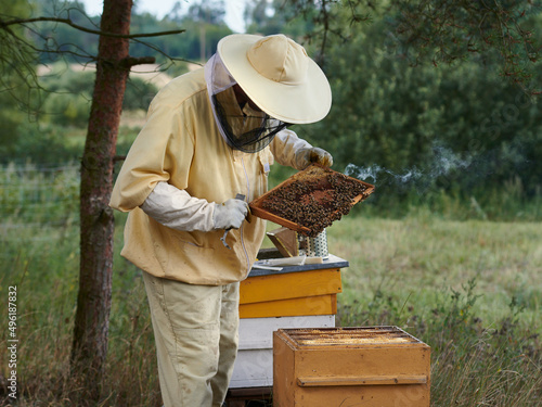Pszczelarz przy ulach w swojej pasiece. Ocenia wiosną, jak roje pszczół przetrwały zimę.