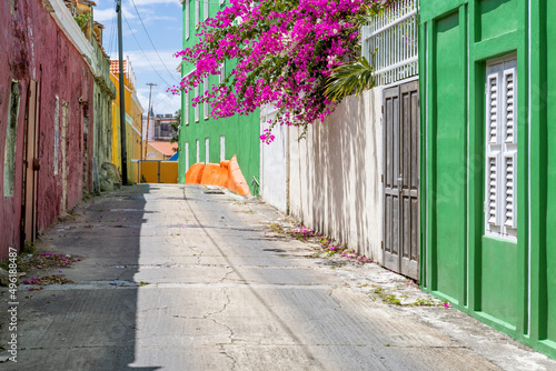 Sunny day in Willemstad, Curacao - walking through alleys with colorful painted houses and blooming bougainvillea © freedom_wanted