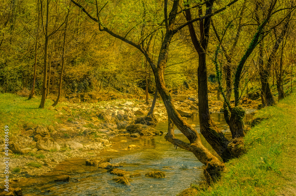 Fototapeta premium Mountain river during cloudy day.