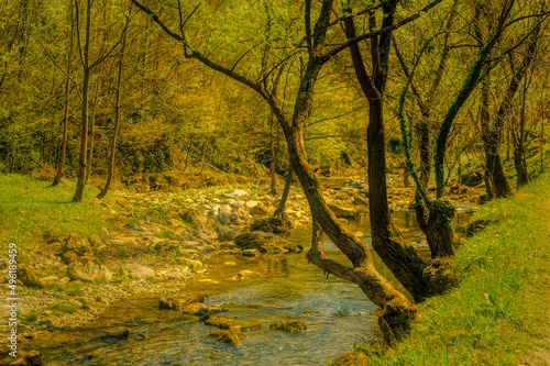 Mountain river during cloudy day.