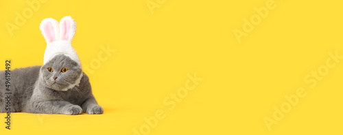 Cute cat with bunny ears on...