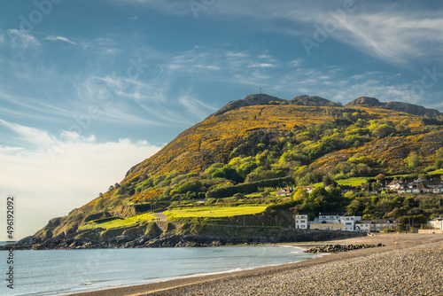 Bray Head, county Wiclow, Ireland. Sprig season photo