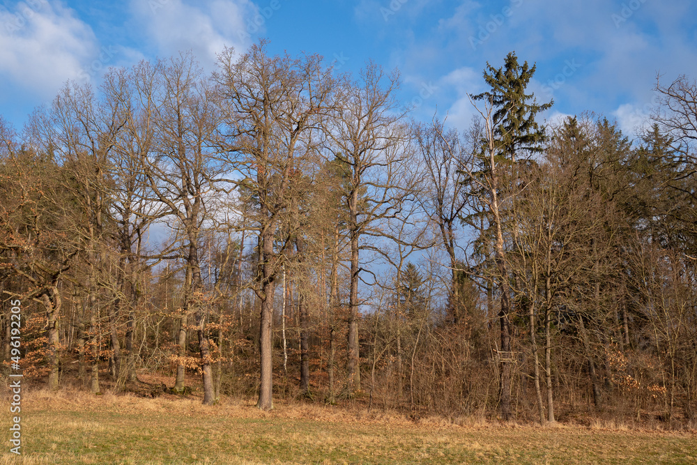 Fototapeta premium Landschaft im Frühjahr