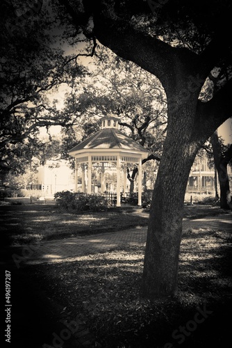 Savannah Georgia City Park Square with Gazebo in Black and White with Sepia Tone and Vignette by VAN KLAVEREN