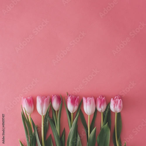 Fototapeta Naklejka Na Ścianę i Meble -  Fresh pink tulips from garden on pink background. Rustic flat lay spring minimal concept