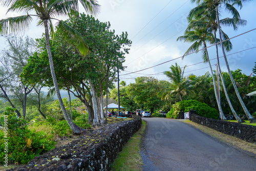 Paved road surrounded with palm trees and lava rock walls in Koki Beach Park on the Road to Hana in the East of Maui island in Hawaii, United States photo