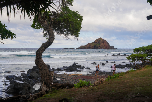 Wavy tree facing Alau Island Seabird Sanctuary in Koki Beach Park on the Road to Hana in the East of Maui island in Hawaii, United States photo