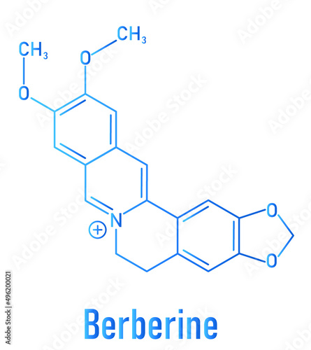 Berberine herbal medicine molecule. Skeletal formula.