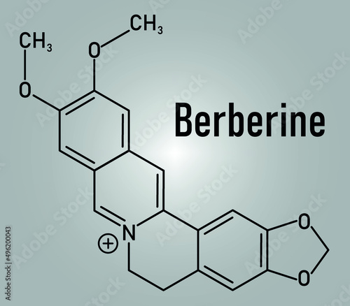 Berberine herbal medicine molecule. Skeletal formula.