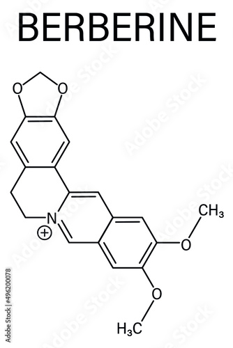 Berberine herbal medicine molecule. Skeletal formula.