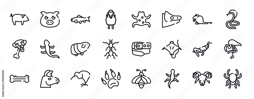 free animals thin line icons collection. free animals editable outline icons set. sitting mouse, poisonous cobra, chewing bone for dog, curved lizard, guinea pig heag, red ant stock vector. free animals thin line icons collection. free animals editable outline icons set. sitting mouse, poisonous cobra, chewing bone for dog, curved lizard, guinea pig heag, red ant stock vector.