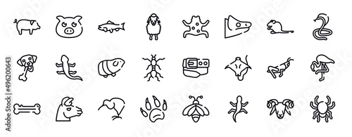 free animals thin line icons collection. free animals editable outline icons set. sitting mouse  poisonous cobra  chewing bone for dog  curved lizard  guinea pig heag  red ant stock vector.