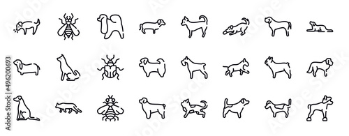 dog breeds fullbody thin line icons collection. dog breeds fullbody editable outline icons set. english mastiff  border collie  bas hound  akitas  null  shih tzu stock vector.