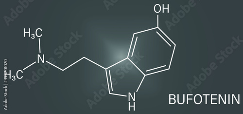 Bufotenin molecule. Tryptamine present in several psychedelic toads. Skeletal formula.