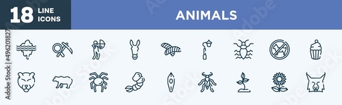 set of animals icons in outline style. animals thin line icons collection. glacier, geology, hunter, donkey, null, streetlight vector.