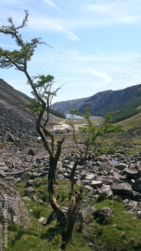 Irland over upper lake photo