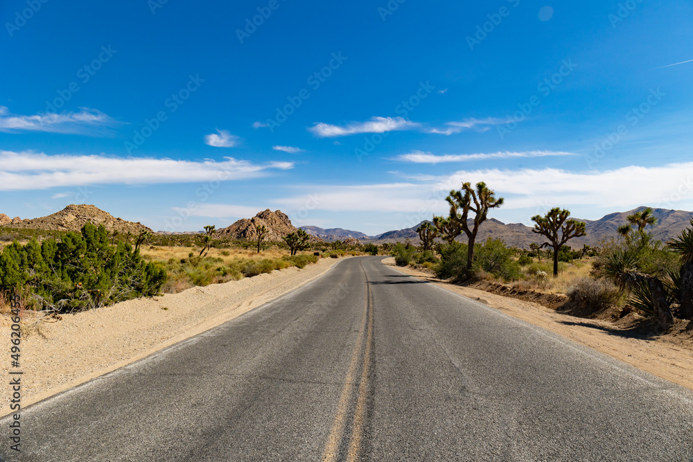 road in the desert