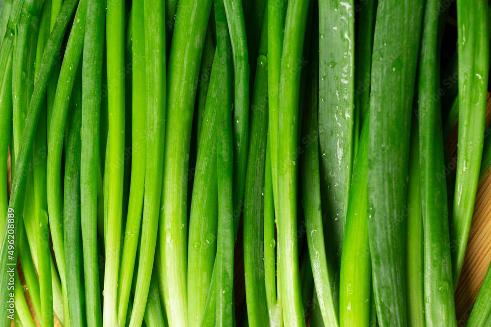 Close up of fresh green spring onions stems on wooden board. Close up of fresh green spring onions stems on wooden board.