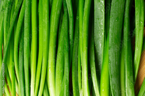 Close up of fresh green spring onions stems on wooden board.