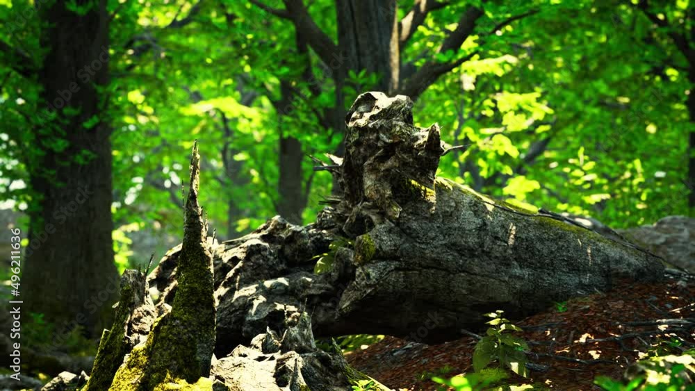 beautiful bright green moss grown up cover the rough stones beautiful bright green moss grown up cover the rough stones