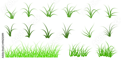 green grass isolated on white