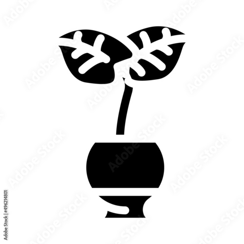 monstera deliciosa glyph icon vector. monstera deliciosa sign. isolated contour symbol black illustration