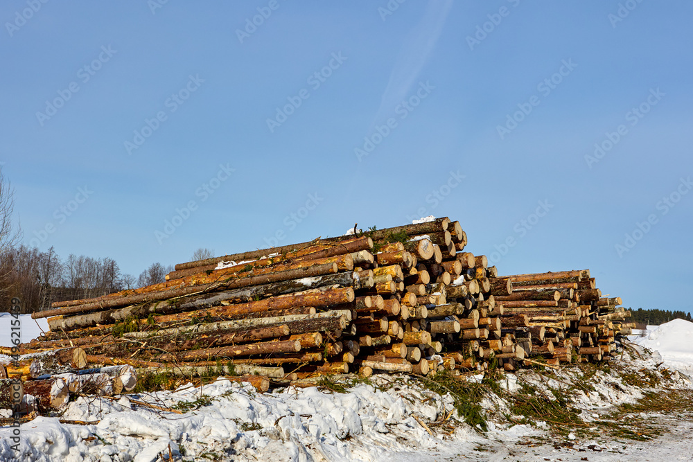 Logging in village in northern latitudes at winter day. Logging in village in northern latitudes at winter day.
