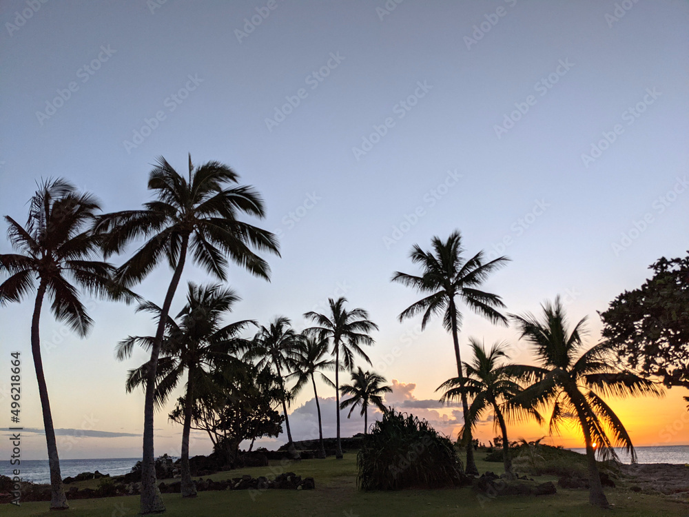 Sunset through the coconut trees at Hawaiian Heiau in Pokai Bay as it sets over the water