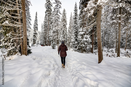 Tourist walking through winter wonderland in Alberta with snow covered landscape.  © Scalia Media
