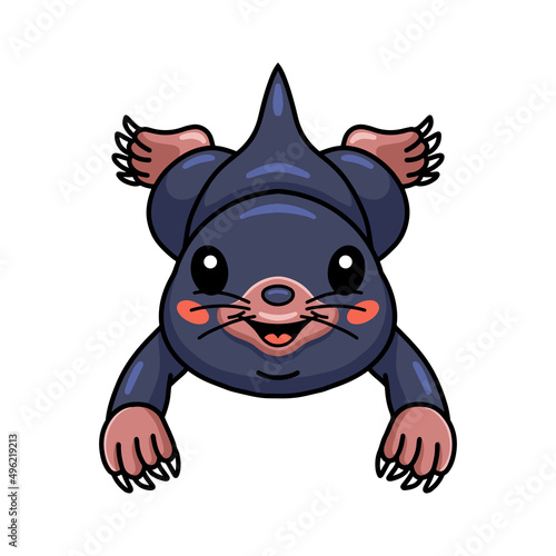 Cute little mole cartoon character