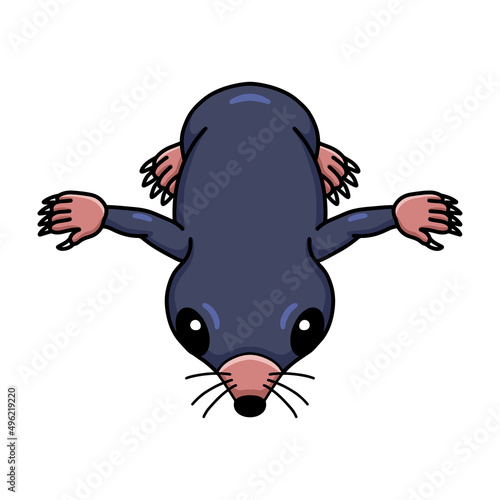 Cute little mole cartoon character