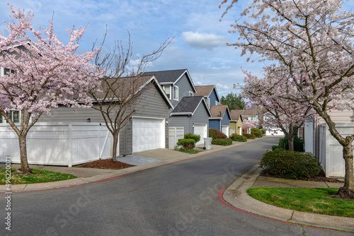 Photography Neighborhood Spring blooms and homes in Kent Washington.