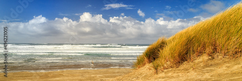 Fototapeta Naklejka Na Ścianę i Meble -  Waves Of Grass And Seashore Panorama