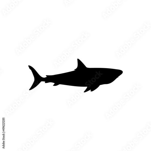 The Best Shark Silhouette Image With White Background