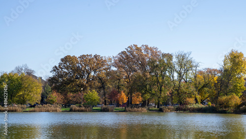 autumn in the park