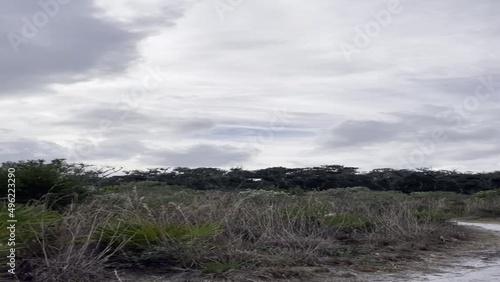 Washington Oaks State Park