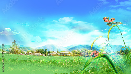 自然豊かな田舎の風景（草原とテントウムシ）	