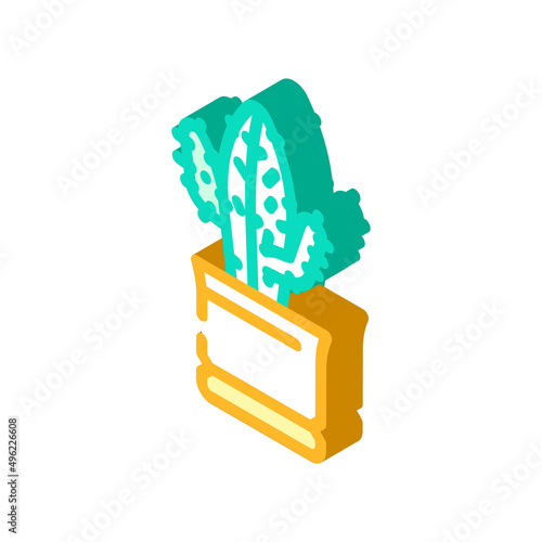 euphorbia acrurensis isometric icon vector. euphorbia acrurensis sign. isolated symbol illustration