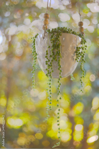 String of Pearls
