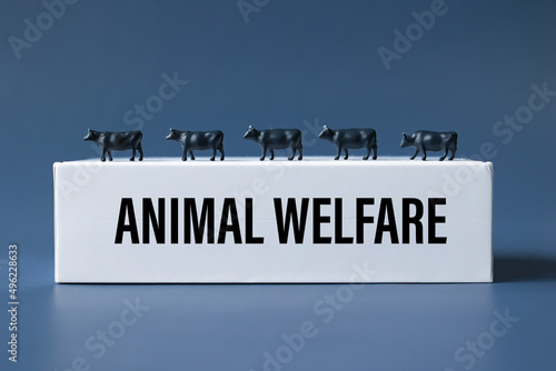 Valokuva Animal welfare, Animal rights, Animal well-being